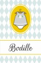 Geboortekaartje Bodille- GB