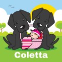 Geboortekaartje Coletta - Gb