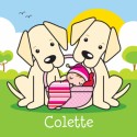 Geboortekaartje Colette - Gb