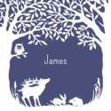 Geboortekaartje James - GA