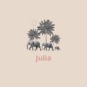Geboortekaartje Julia variant - LK