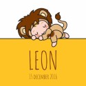 Geboortekaartje Leon - Gb
