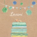 Geboortekaartje Levani met zus - EB
