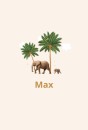 Geboortekaartje Max - LK
