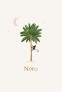 Geboortekaartje Nero - LK