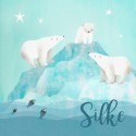 Geboortekaartje Silke ijsbeertjes licht - SV