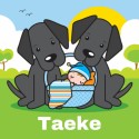 Geboortekaartje Taeke - Gb