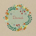Geboortekaartje David - Dits en Dots