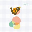 Geboortekaartje vogeltje - Joos - HK