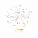 Geboortekaartjes walvis oceaan enkel - Joan