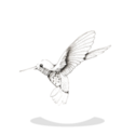 Mies & Co - sluitsticker - kolibrie