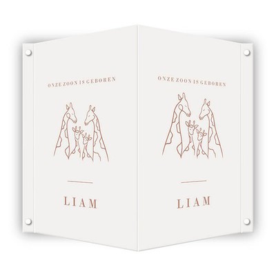 Liam-geboortebord-50x70